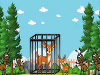 Save The Mother Deer