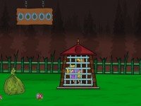 The Turkey Escape From Cage