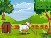 Free The Chained Goat