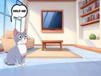 Two Cats Together