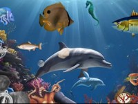 Magical Coral Reef