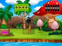 Save The Captive Kangaroo
