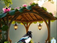 Songbird Forest Escape