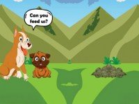 Give Meal To Hungry Dogs