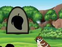 Find Hidden Sparrow Nest
