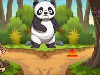Panda Forgot Bamboo Forest Way