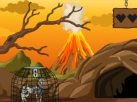 Free The Wild Dog From Its Cage