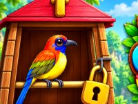 Free the Colorful Bird