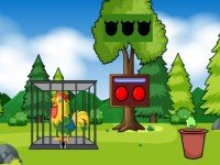 Unlock The Rooster Cage