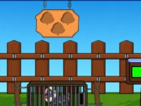 Set The Baboon Free