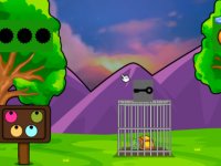 Help The Locked Tortoise Escape