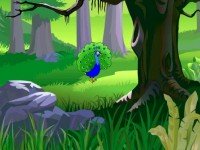 Help To Visit Peacock Pal