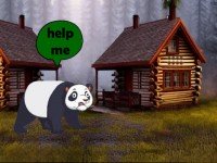 Panda Searching For Her Infant