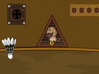 Save The Trapped Platypus