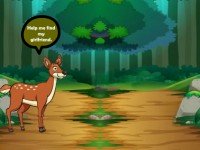 Deer Couple Get Back Together
