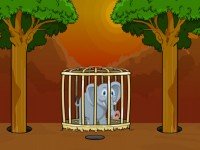 Help The Lonely Elephant