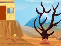 Escape Desert Treasure