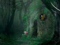 Enigmatic Forest Escape