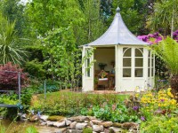 Sneaky Search Dragonflies