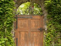 Sneaky Search Ladybugs