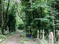 Escape Highgate Cemetery Gothic