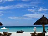 Sneaky Search Pearls