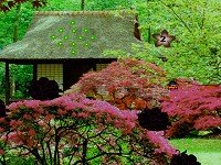 Seasonal Garden Escape