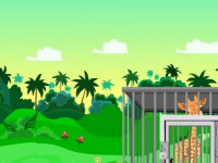 Rescue Animals and Escape