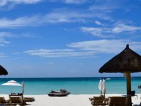 Sneaky Search Pearls