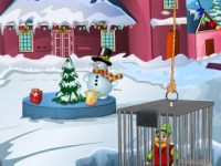 Rescue The Miniature