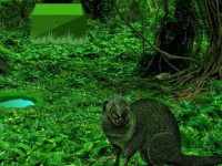 Rescue Elephant Ivory