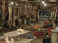 Barn Cat Diaries 1 My Birthday