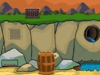 Forest Tortoise Rescue