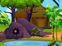 Orchid Flower Escape